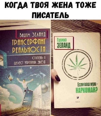 КОГДА ТВОЯ ЖЕНА ТОЖЕ ПИСАТЕЛЬ ТРАНСЕРФИИГ Галина ЗЕЛАНД СТУПЕНЬ ШЕЛЕСТ We Balll муж-