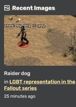 Recent Images гау Raider dog in LGBT representation in the Fallout series 25 minutes ago