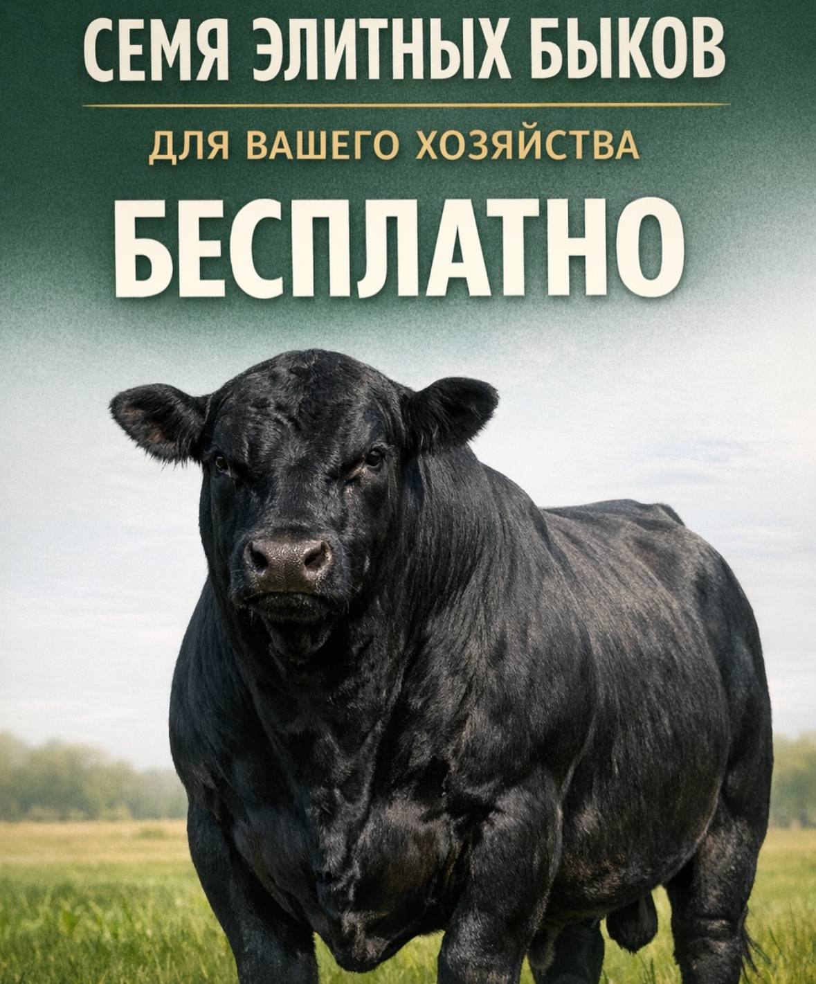 СЕМЯ ЭЛИТНЫХ БЫКОВ ДЛЯ ВАШЕГО ХОЗЯЙСТВА БЕСПЛАТНО но