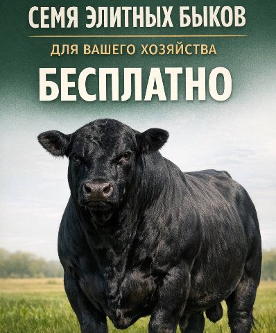 СЕМЯ ЭЛИТНЫХ БЫКОВ ДЛЯ ВАШЕГО ХОЗЯЙСТВА БЕСПЛАТНО но