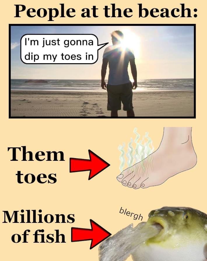 People at the beach: just gonna dip my toes in) Them toes Millions of fish