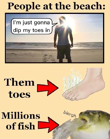 People at the beach: just gonna dip my toes in) Them toes Millions of fish