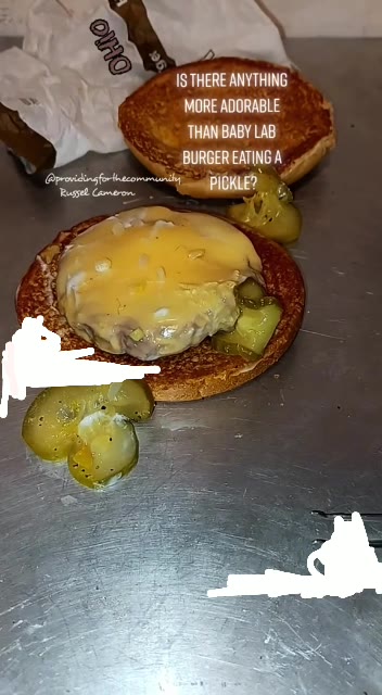 ISTHERE ANYTHING BURGER EATING A”