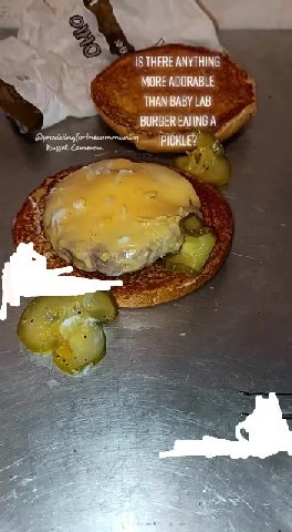 ISTHERE ANYTHING BURGER EATING A”