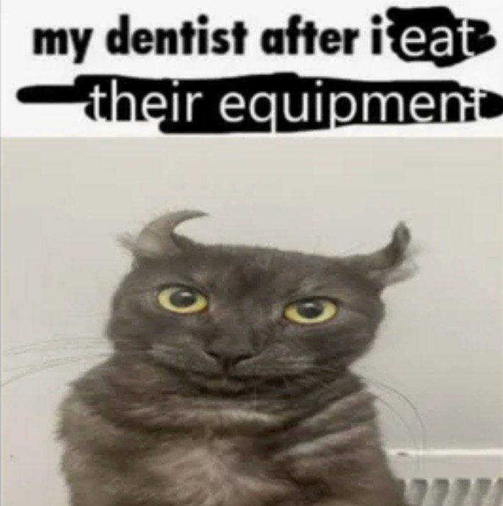 my dentist after