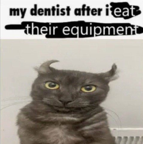 my dentist after