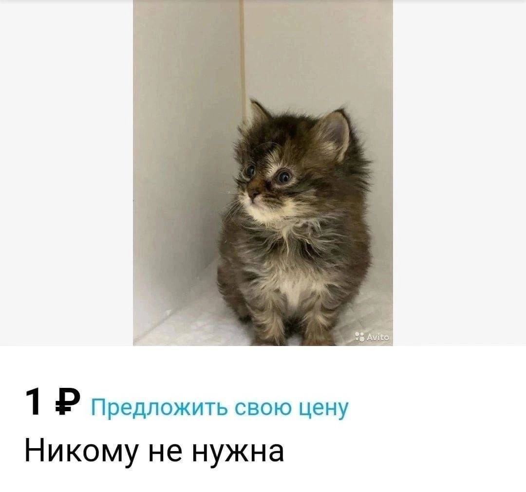 2 1 Предложить свою цену Никому не нужна