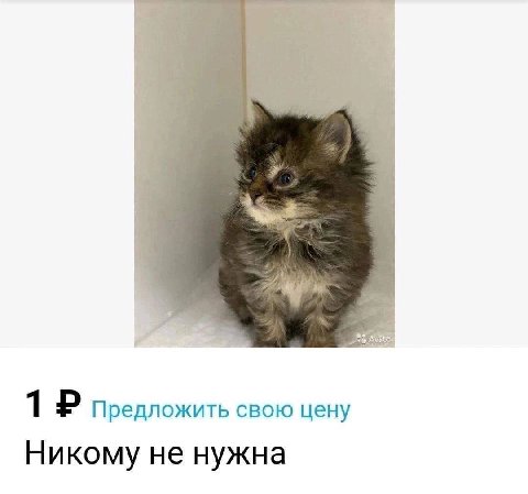 2 1 Предложить свою цену Никому не нужна