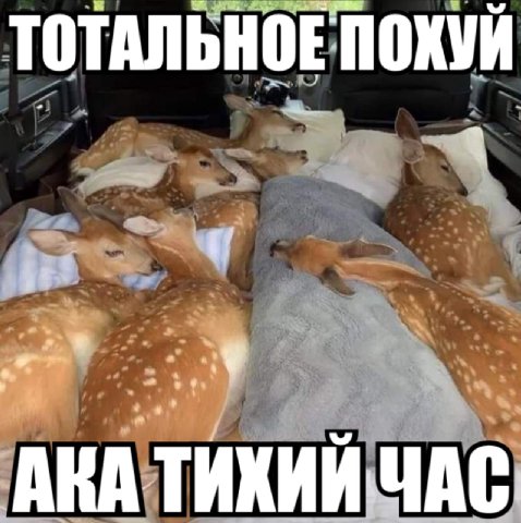 ТОТАЛЬНОЕПОХУЙ 9 a у АКА ТИХИЙ ЧАС.