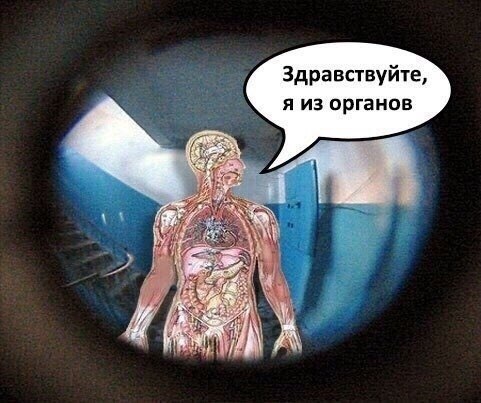 Здравствуйте, я из органов 4