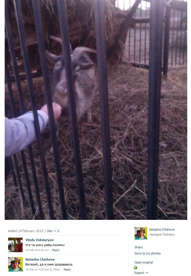 Added 2015 Like 2 Natasha Chizhova поездка Талпаки Vitaly Zolotaryov это ты руку даёш козлику share 14 Feb Reply Save to my photos Natasha Chizhova о виталий, да я счим здороваюсь реп origina Reply о 