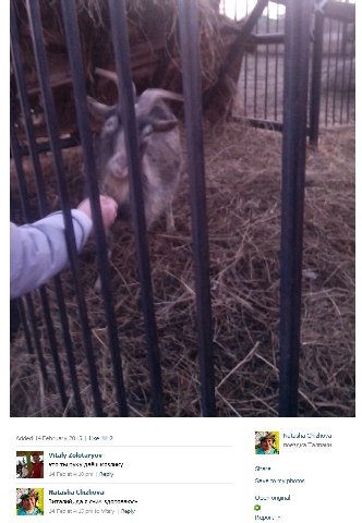 Added 2015 Like 2 Natasha Chizhova поездка Талпаки Vitaly Zolotaryov это ты руку даёш козлику share 14 Feb Reply Save to my photos Natasha Chizhova о виталий, да я счим здороваюсь реп origina Reply о 