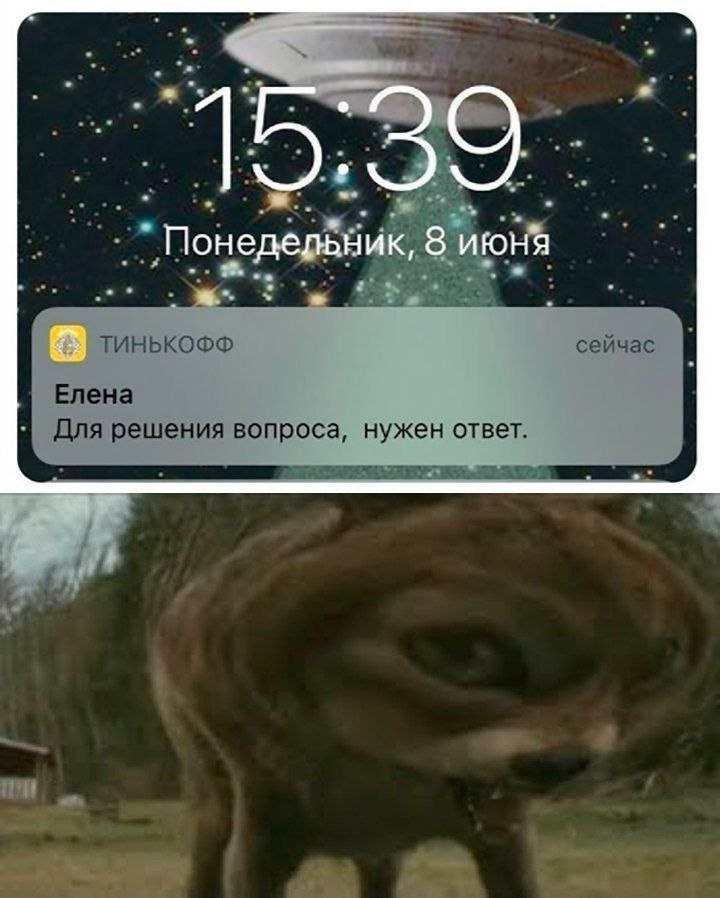 2 ТИНЬКОФФ сейчас Елена Для решения вопроса, нужен ответ. 4