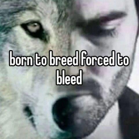 born to breed Forced bleed