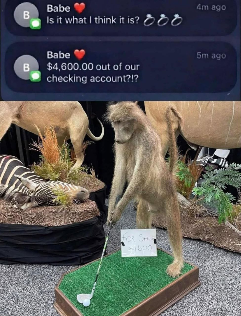 ВаБе ago Is it what think it is? Babe ago $4,600.00 out of our checking account?!? A 3