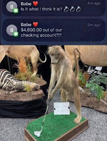 ВаБе ago Is it what think it is? Babe ago $4,600.00 out of our checking account?!? A 3