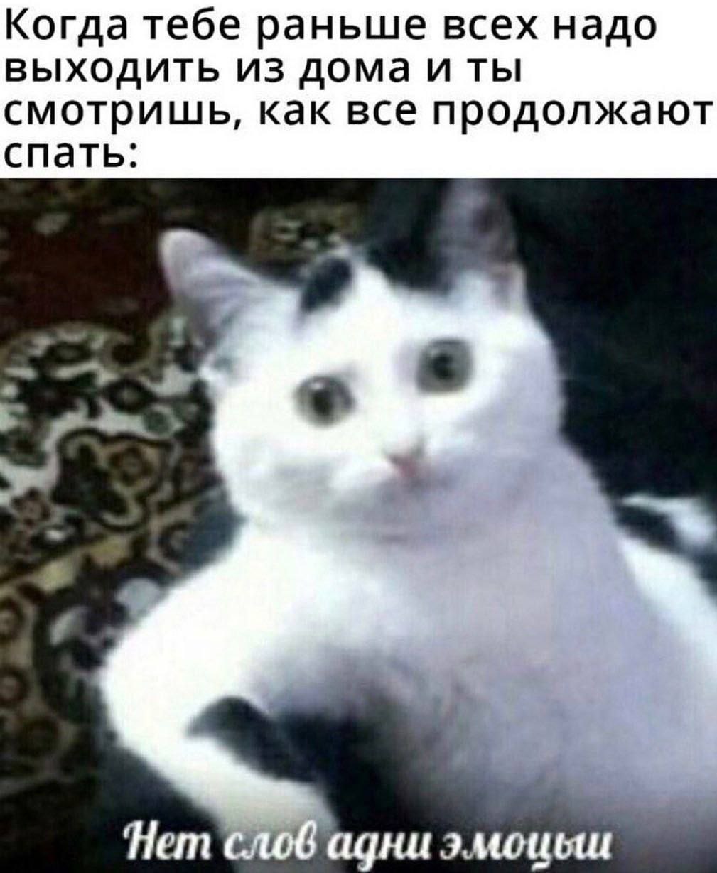 Когда тебе раньше всех надо выходить из дома и ты смотришь, как все продолжают спать: Hem адни эмоцеш