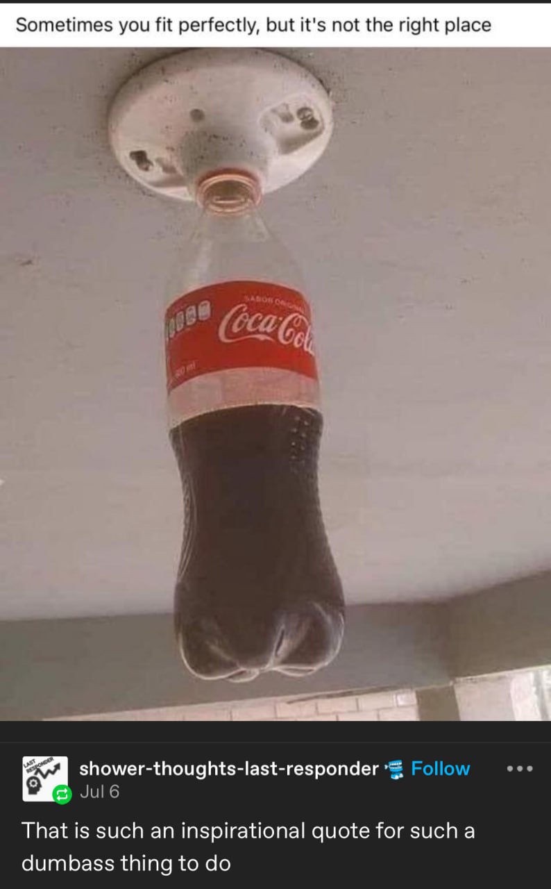 Sometimes you fit perfectly, but it's not the right place shower-thoughts-last-responder That is such an inspirational quote for sucha dumbass thing to