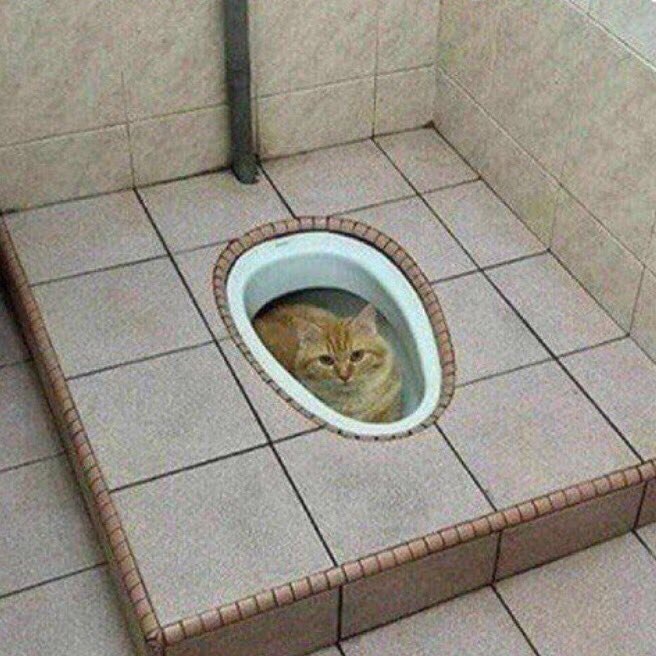 at 2 3 3 4 я и