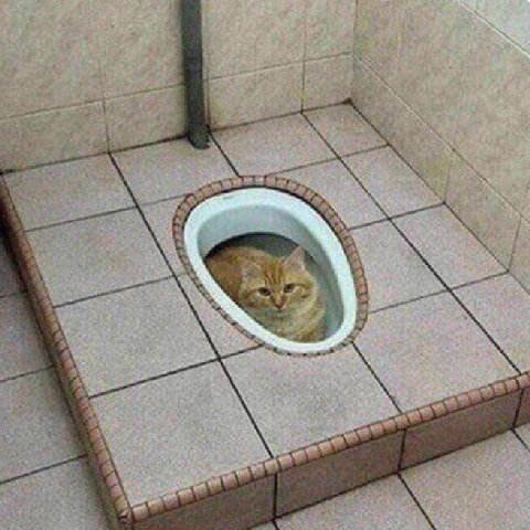 at 2 3 3 4 я и