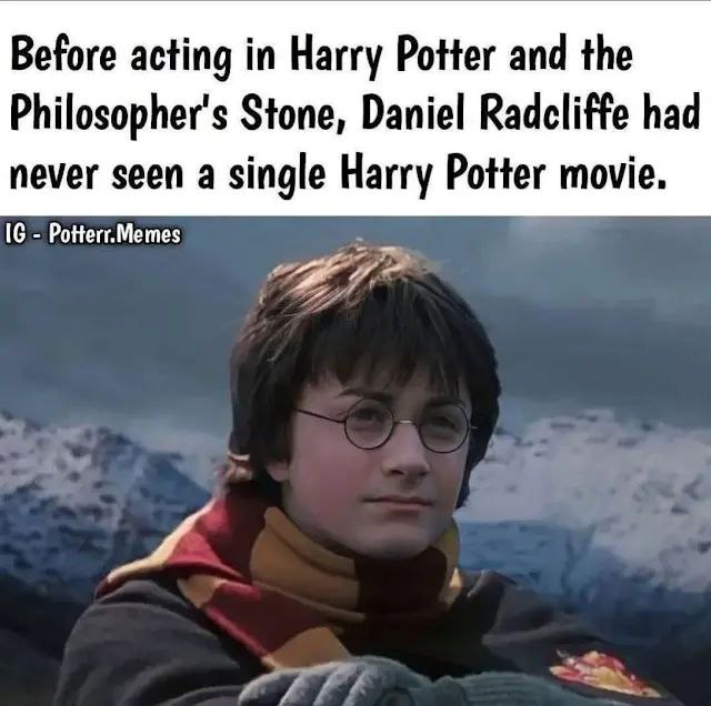 Before acting in Harry Potter and the Philosopher's Stone, Daniel Radcliffe had never seen a single Harry Potter movie. Potterr.Memes