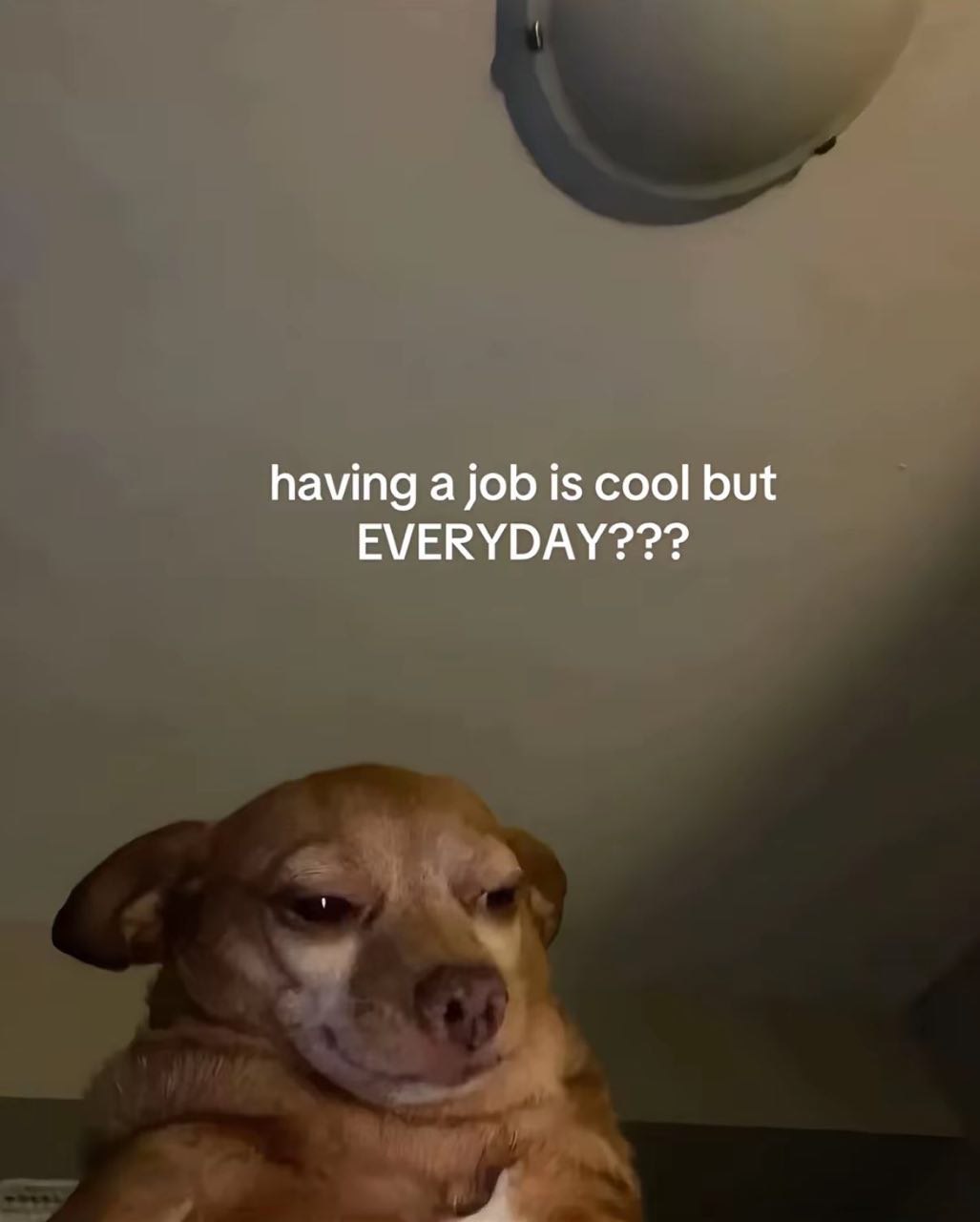 having а job is cool but EVERYDAY???