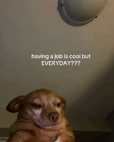 having а job is cool but EVERYDAY???