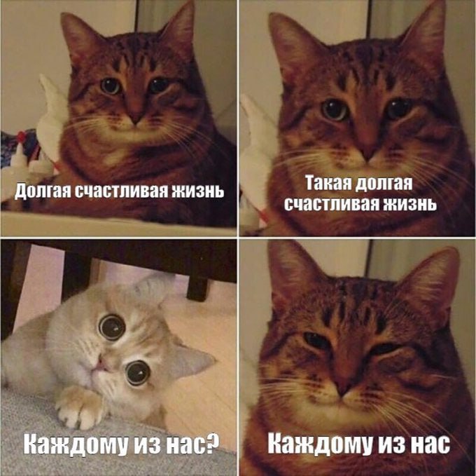 Долгая счастливая жизнь Такая долгая счастливая жизнь Каждому из нас? Важдому из нас