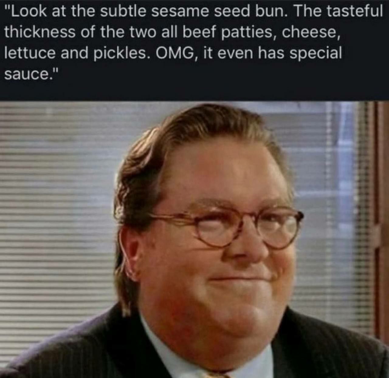 "Look at the subtle sesame seed bun. The tasteful thickness of the two all beef patties, cheese, lettuce and pickles. OMG, it even has special sauce."