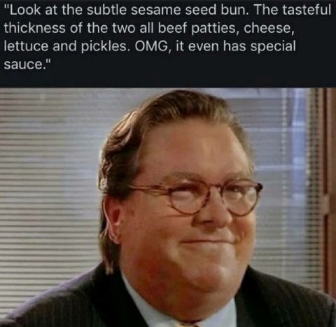 "Look at the subtle sesame seed bun. The tasteful thickness of the two all beef patties, cheese, lettuce and pickles. OMG, it even has special sauce."