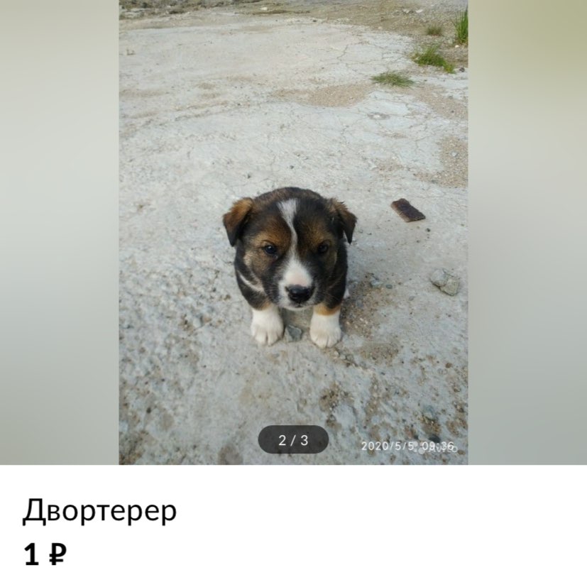 35$ 2926 5 93.2% Двортерер