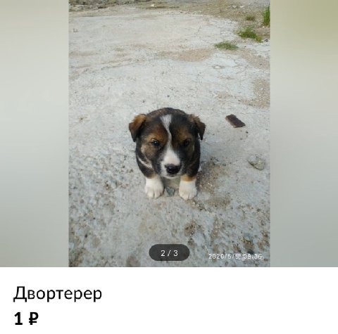 35$ 2926 5 93.2% Двортерер