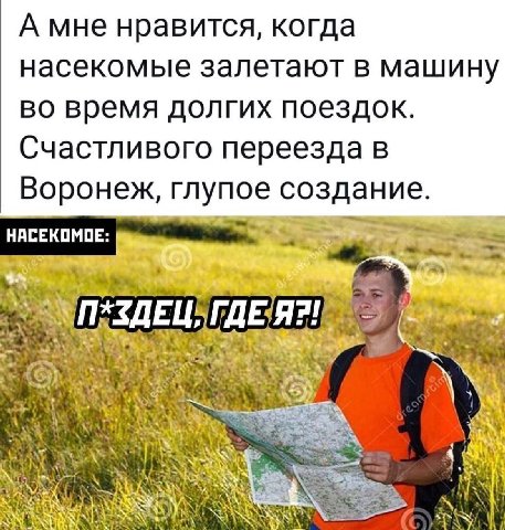 А мне нравится, когда насекомые залетают в машину во время долгих поездок. Счастливого переезда в Воронеж, глупое создание. НАСЕКОМОЕ: a