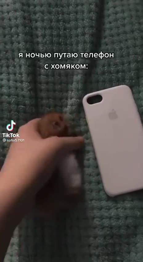 _ яночью путаю телефон