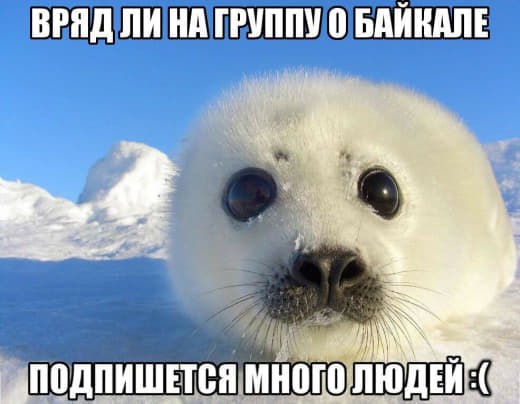 ВРЯД ЛИ НА ГРУППУ 0 БАЙКАЛЕ МНОГО