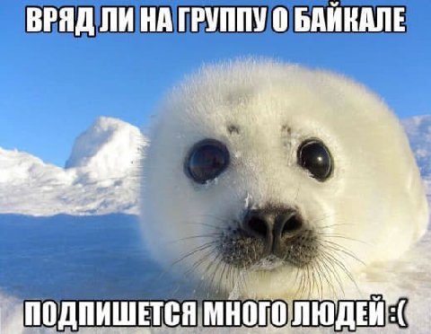 ВРЯД ЛИ НА ГРУППУ 0 БАЙКАЛЕ МНОГО