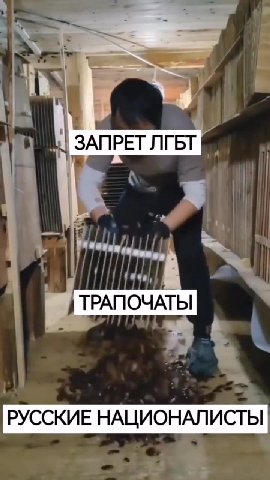 ЗАПРЕТ ЛГБТ №8 1 8 — ТРАПОЧАТЫ м РУССКИЕ НАЦИОНАЛИСТЫ