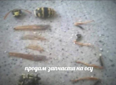 продам запчасти на осу