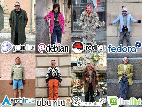 i a “4 INUX redhat gentoo,| (9 deb lan fedor be у” Mint lementary,