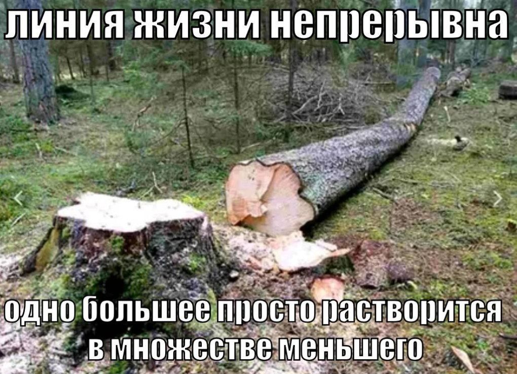 линия жизни непрерывна одно большее