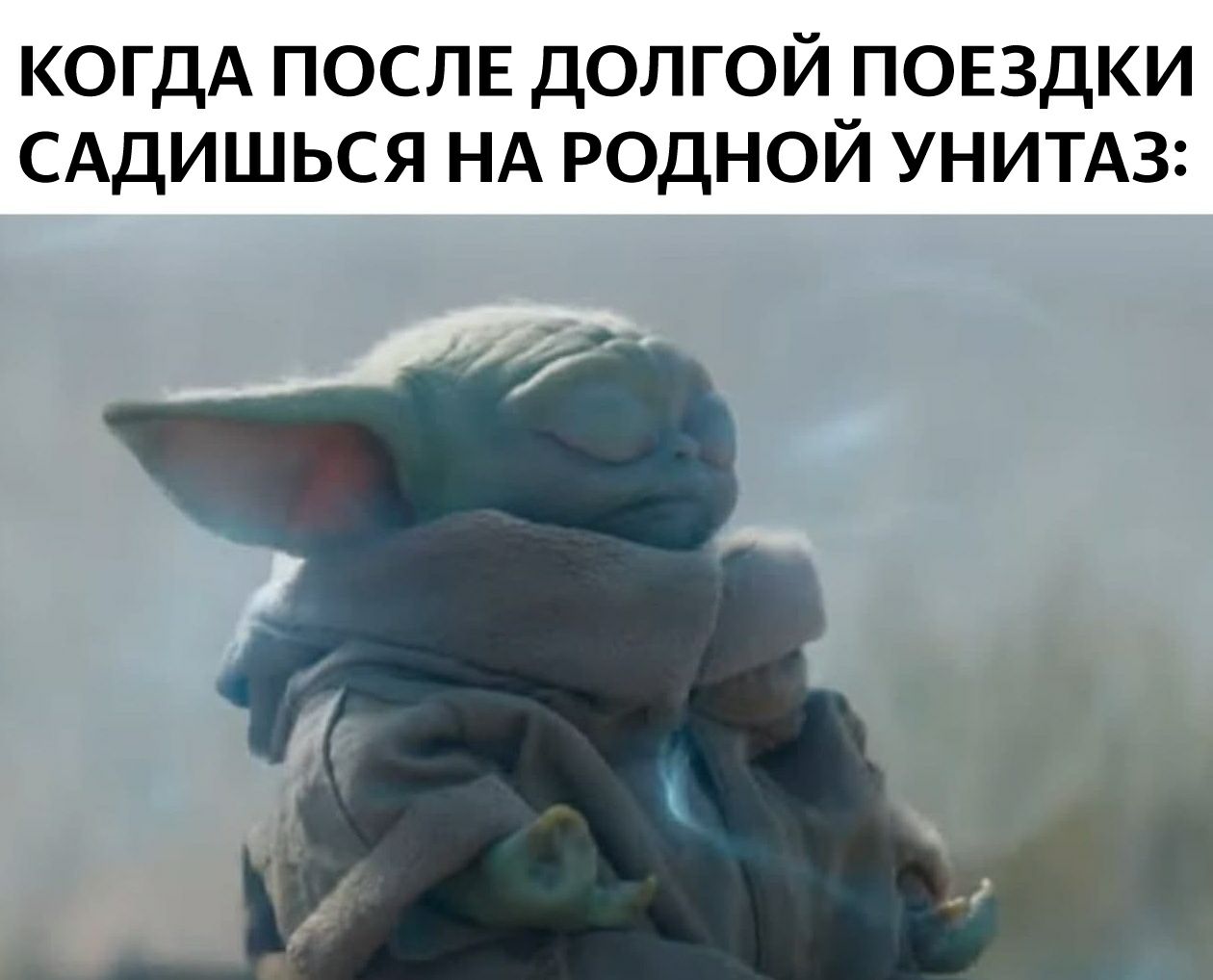 КОГДА ПОСЛЕ ДОЛГОЙ ПОЕЗДКИ САДИШЬСЯ НА РОДНОЙ УНИТАЗ: