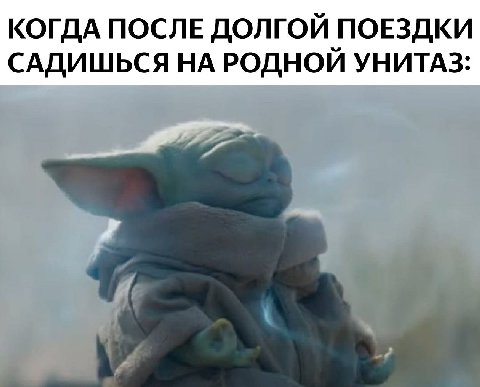 КОГДА ПОСЛЕ ДОЛГОЙ ПОЕЗДКИ САДИШЬСЯ НА РОДНОЙ УНИТАЗ:
