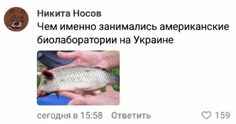 Никита Носов Чем именно занимались американские биолаборатории на Украине сегодня в 15:58 Ответить 159