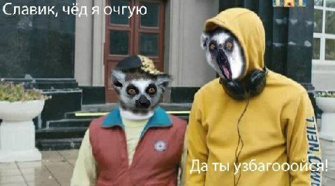 Славик, чёд я очгую я, A 6 Да ты узбагоооися!