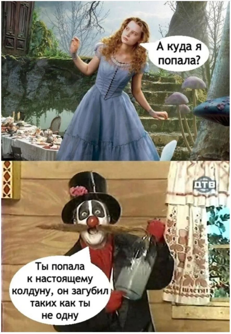 4 we А куда я попала? 4 aT у ‘с Ты попала к настоящему колдуну, он загубил таких как ты не одну