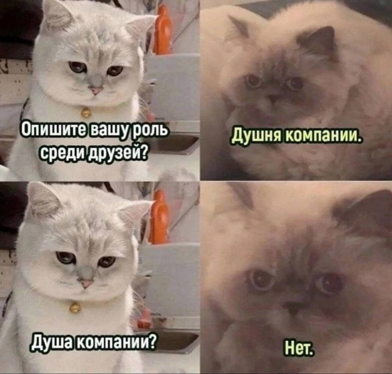Опишите вашу роль Душня компании. среди друзей? Душа компании? Нет.