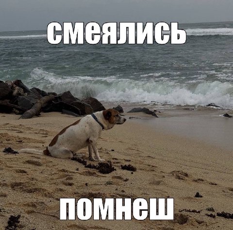 смеялись помнеш
