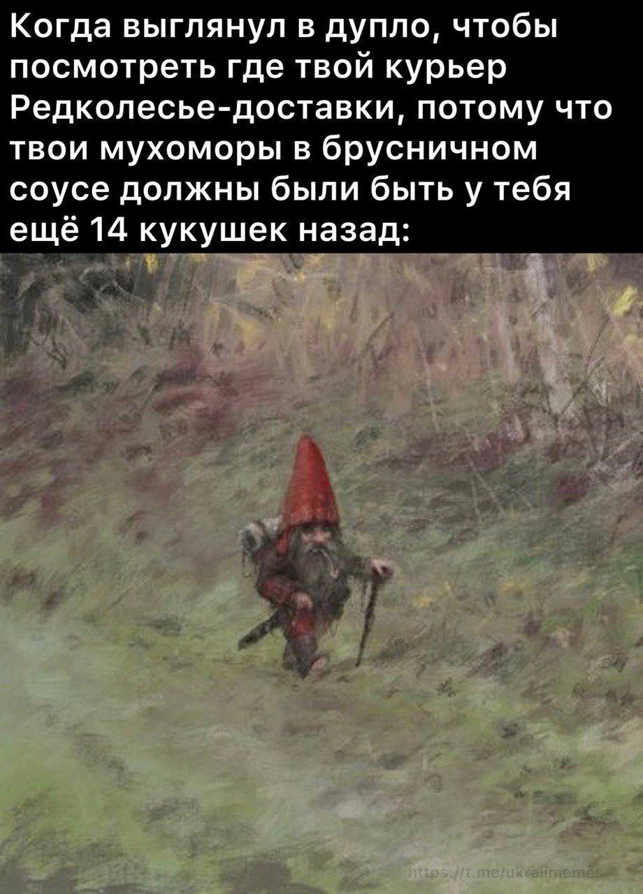 Когда выглянул в дупло, чтобы посмотреть где твой курьер Редколесье-доставки, потому что твои мухоморы в брусничном соусе должны были быть у тебя ещё 14 кукушек назад: