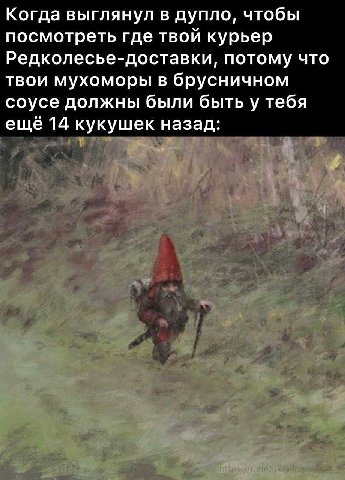 Когда выглянул в дупло, чтобы посмотреть где твой курьер Редколесье-доставки, потому что твои мухоморы в брусничном соусе должны были быть у тебя ещё 14 кукушек назад: