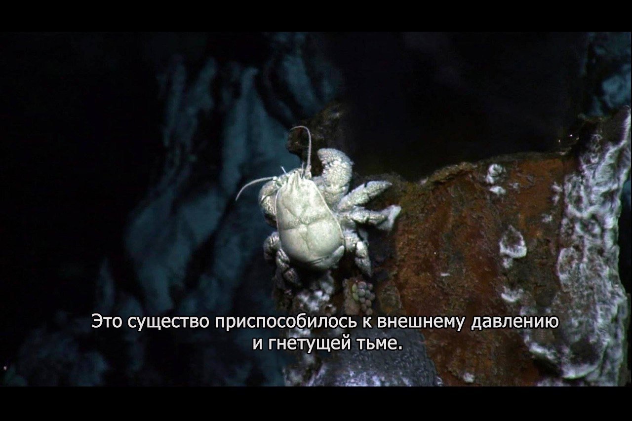 недавно було